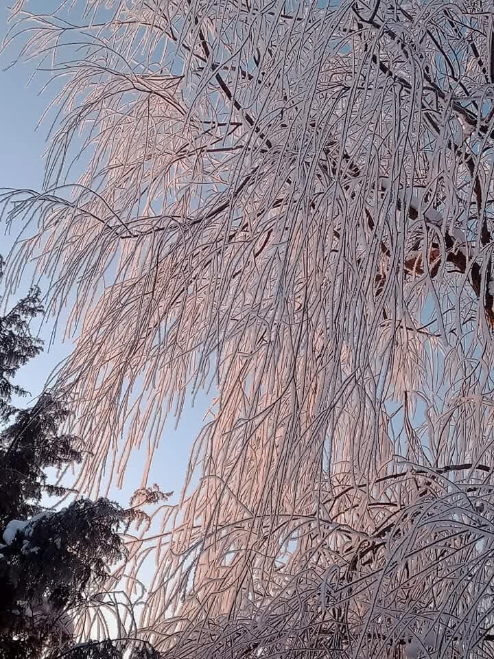 @Zakręcona ogrodniczka 🌺🌺🌺🌺