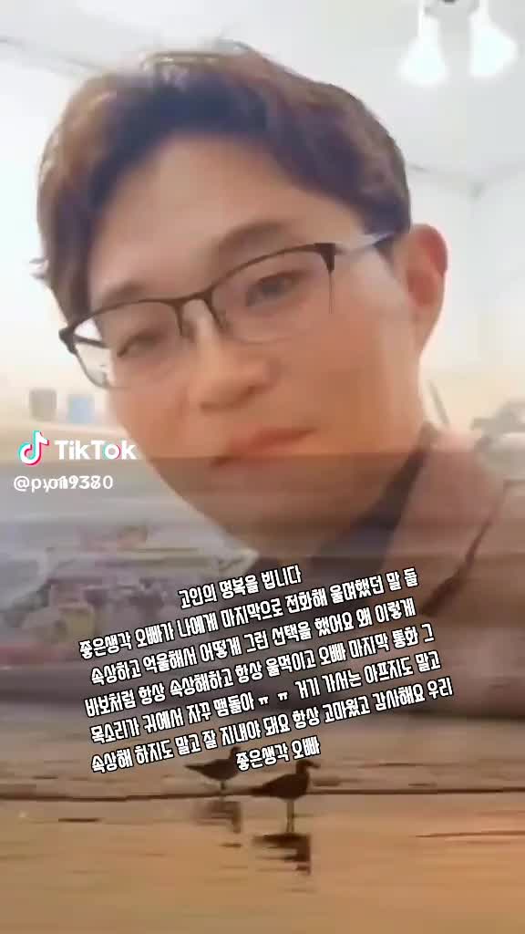 @🦋⃟   좋은백사자🦋⃟○🎤