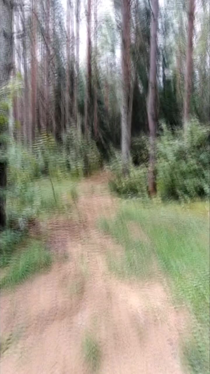 @Химер Роковой