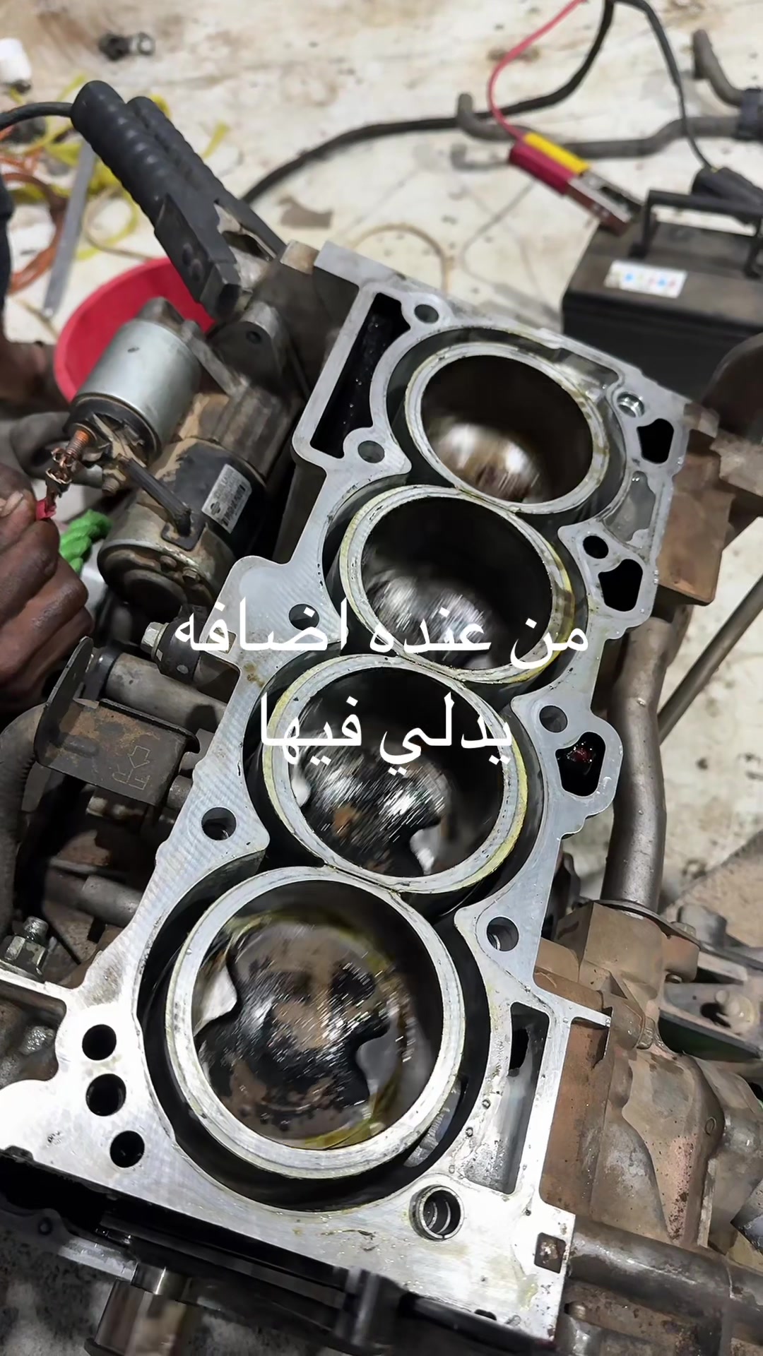 @مختار الكلمه