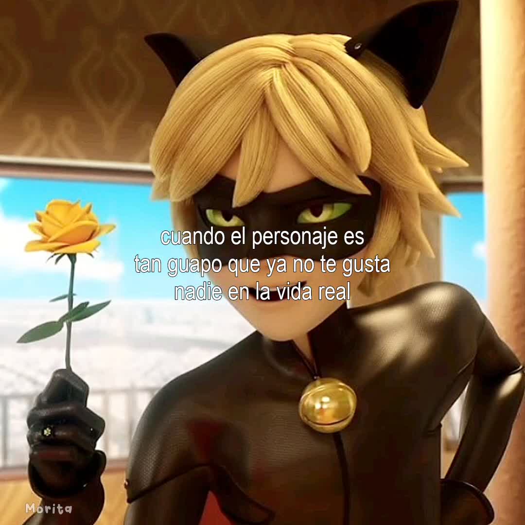 @✿̫ 𝑀oritɑ ๋. ⭑ ׅ