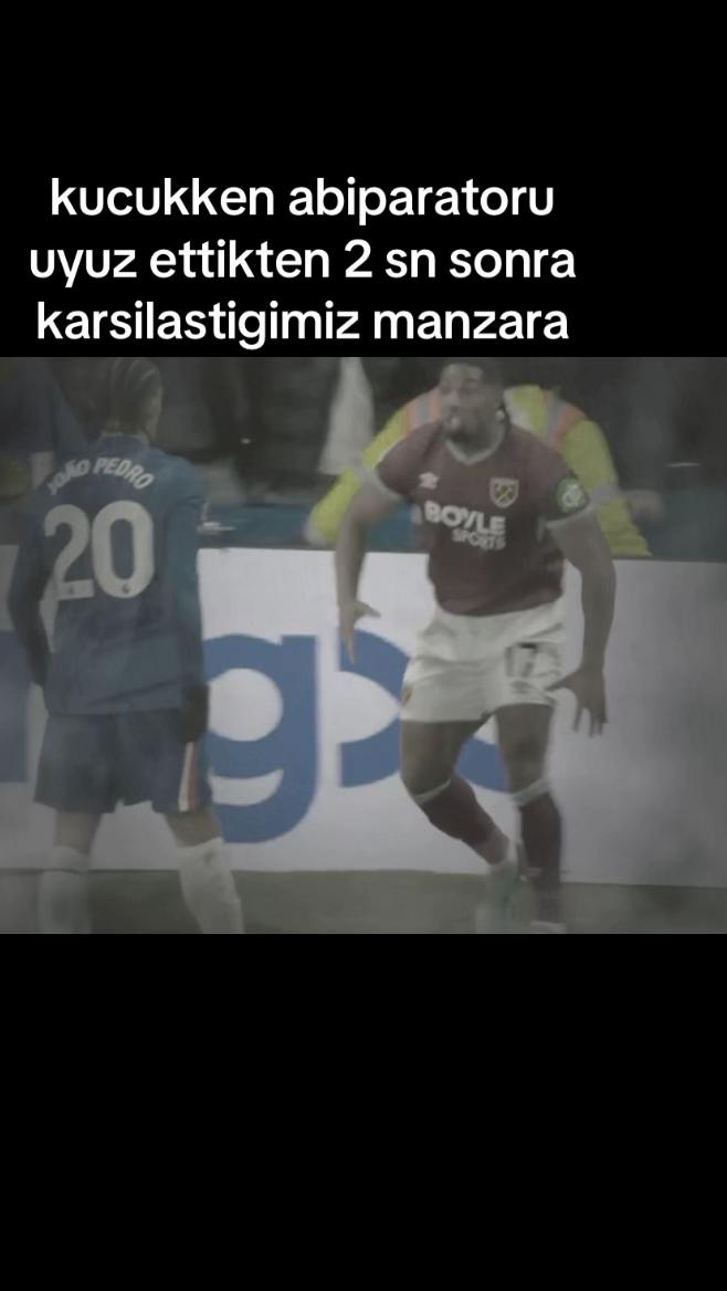 @tembelsi hayvan