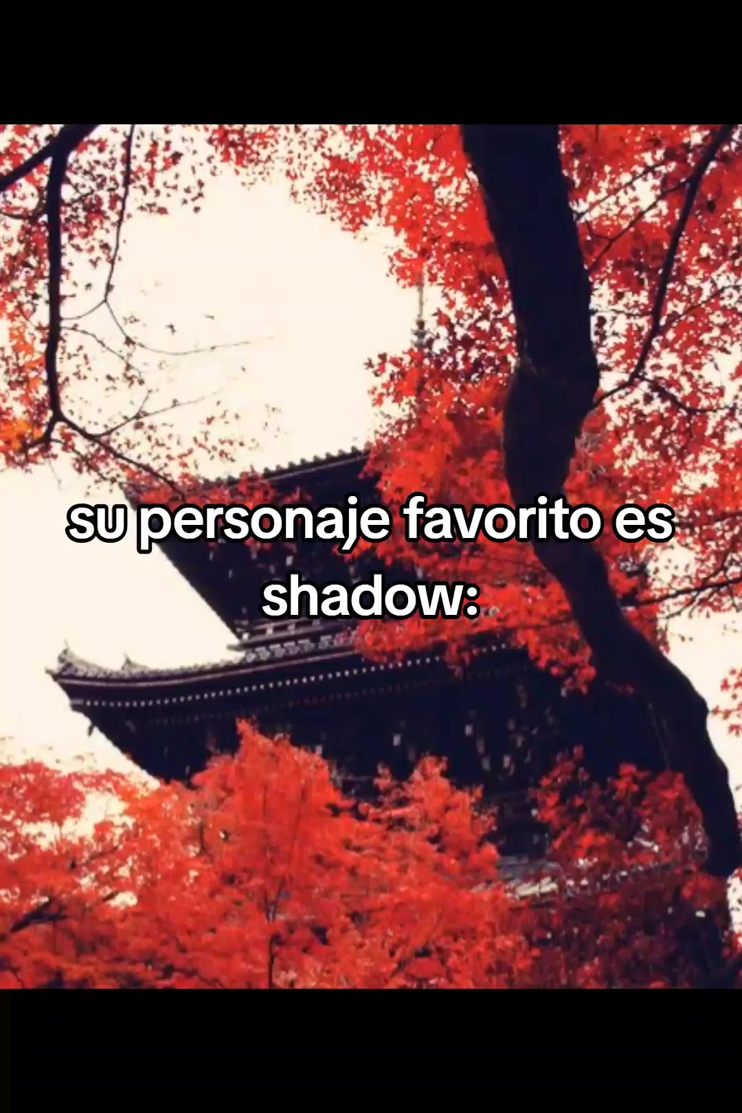@𓂃𓂂◌💗🦔🌷◌˳𓇬
