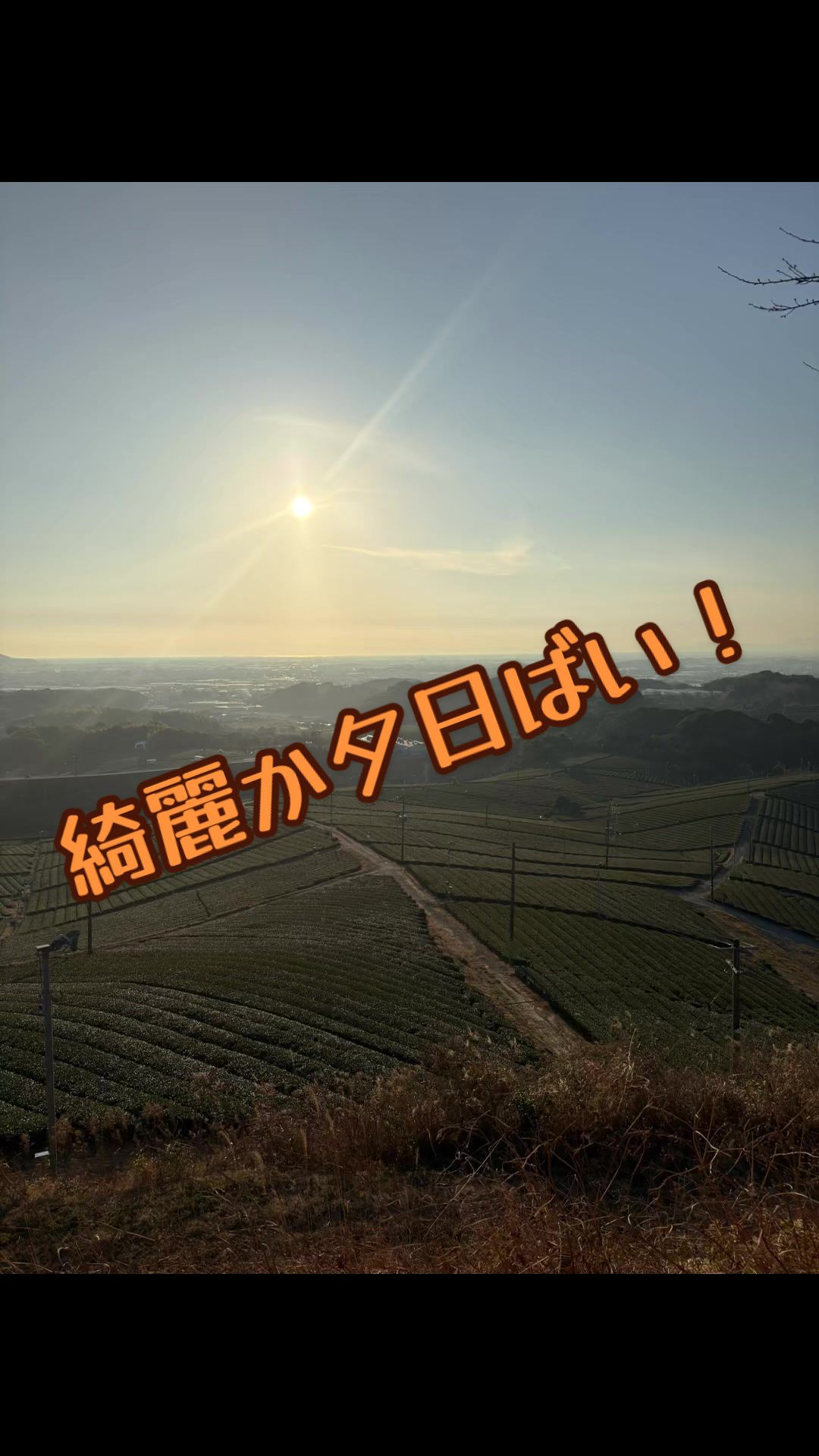 @ǤᗩᗷᗩᒎI🇯🇵 ᗰᗩᑎƳ ᕼᗝᗷᗷIᗴᔕ 🥃🐈🐾
