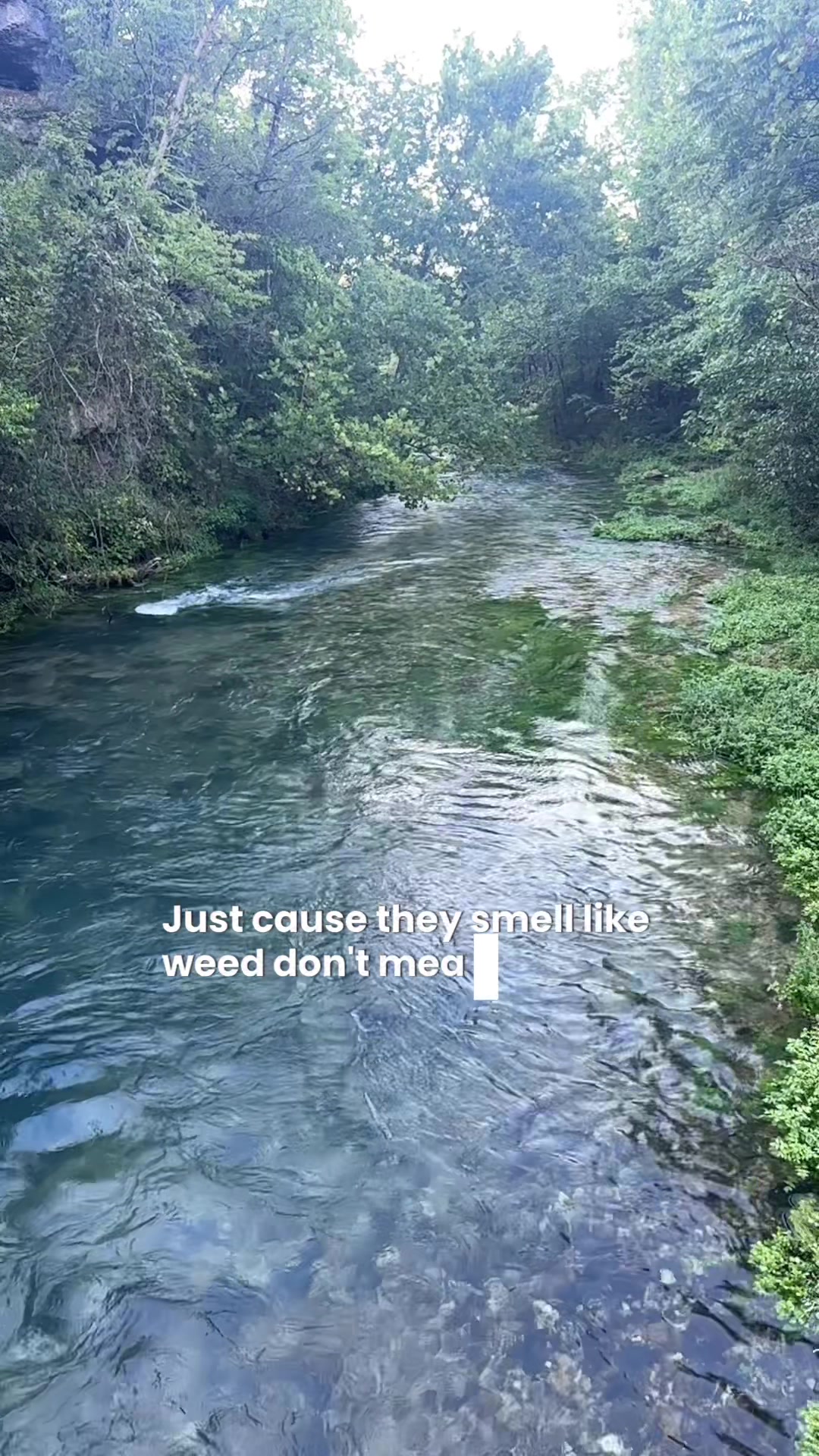 @A Drowning Mermaid