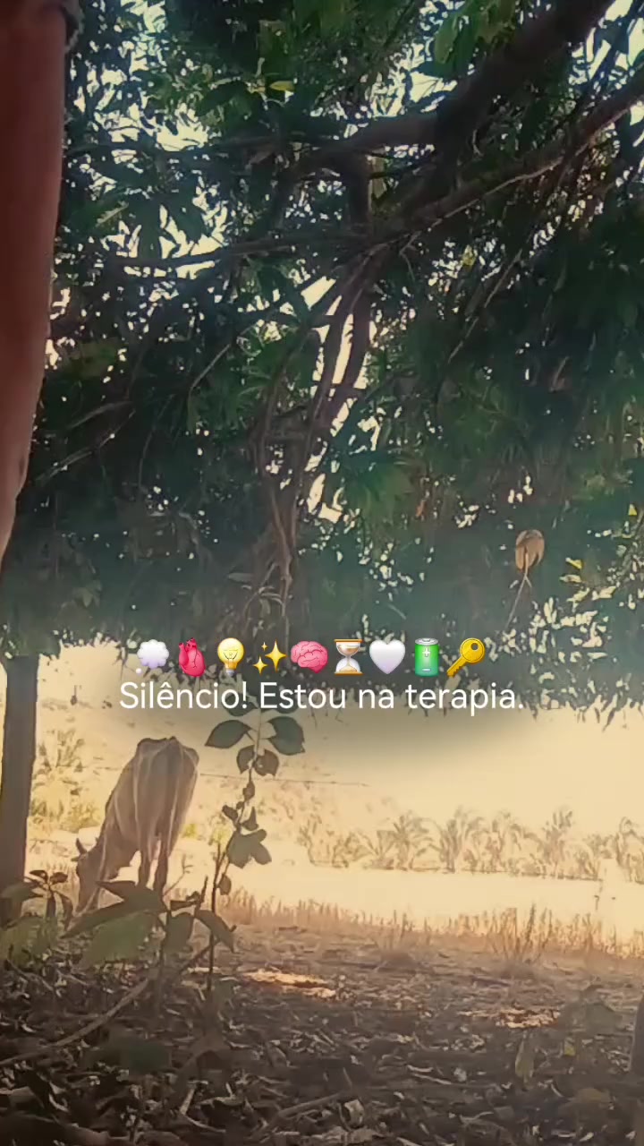 @🪬📿🧿✨️🩵🍀