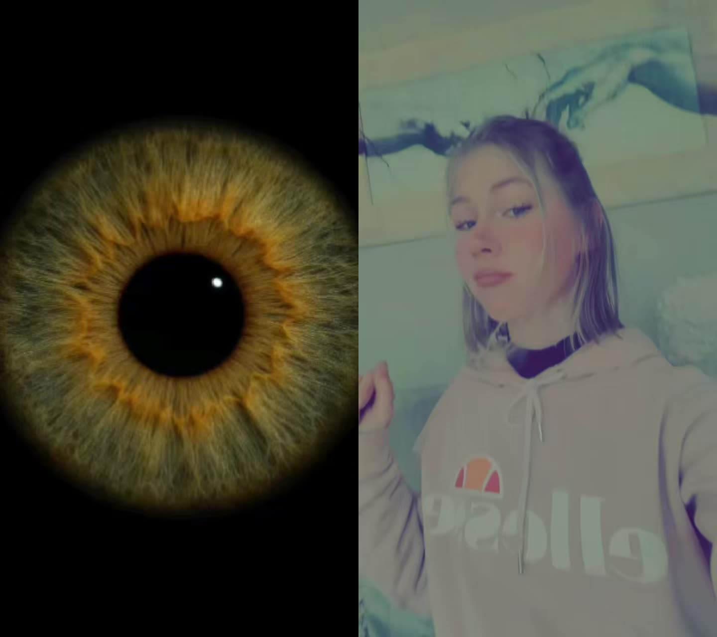 @Andrej❤️