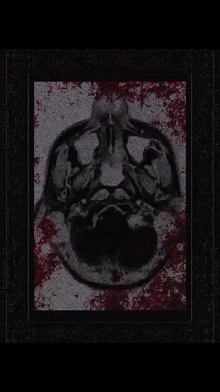@𝖀𝖓𝖙𝖊𝖗𝖌𝖆𝖓𝖌 ⚔