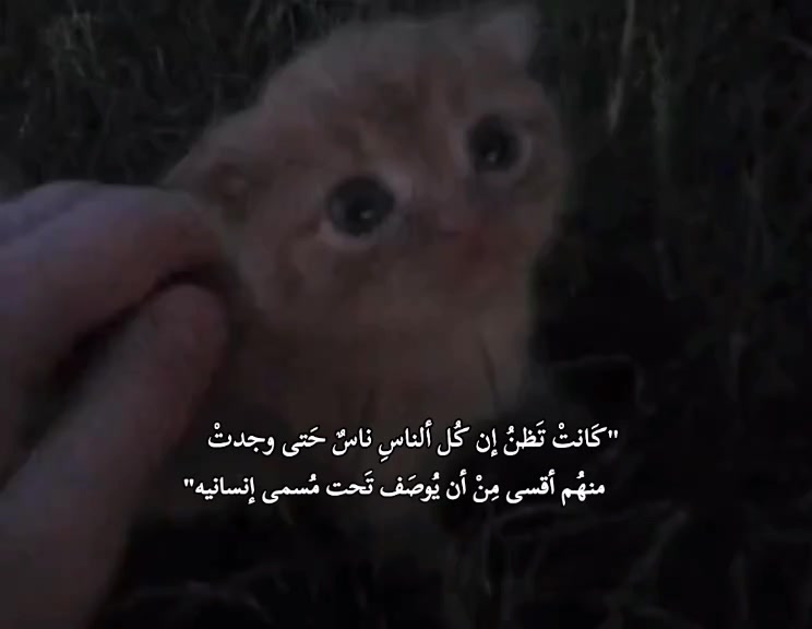 @INFJ💜