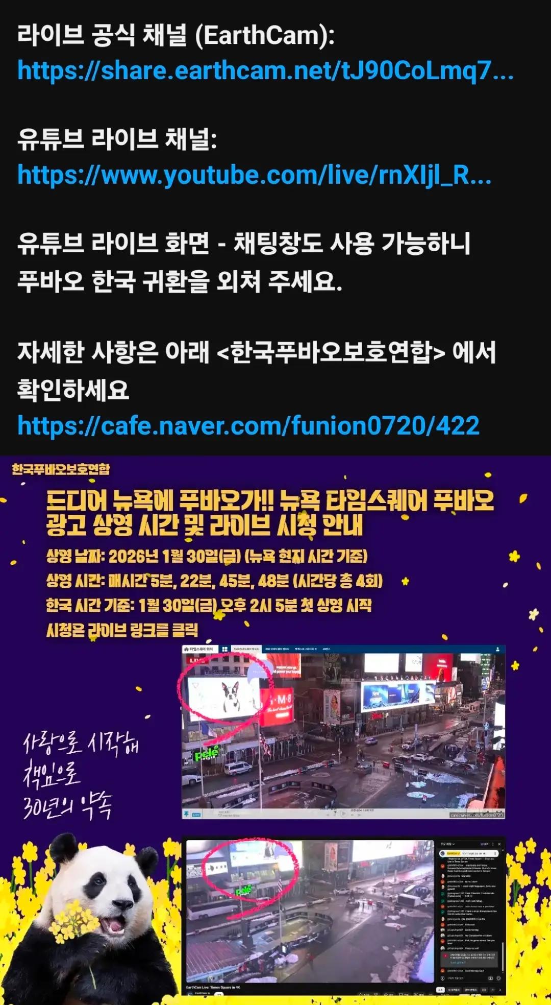 @반짝이는비니♡