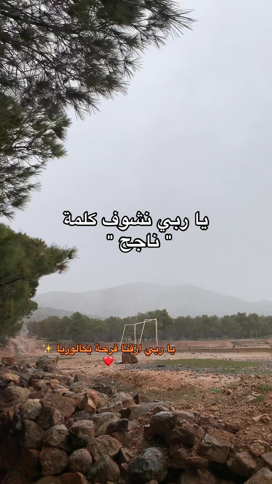 @Taaaa🪽