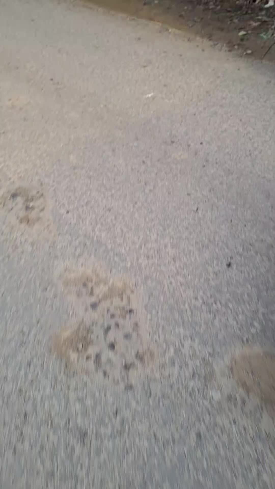 @Blanosii nordului