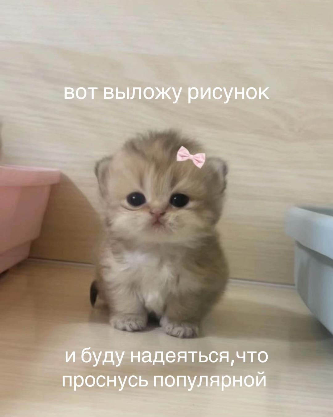 @тгк:indrikdelly