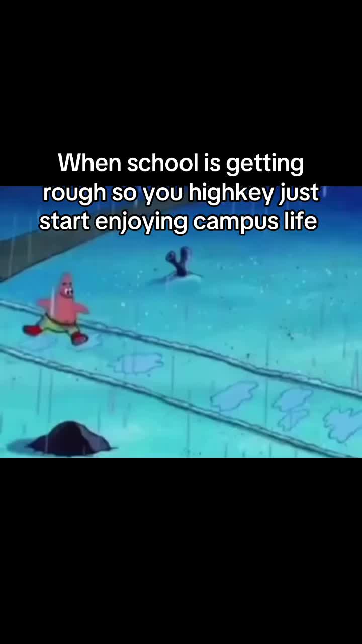 @dragonballmemes04