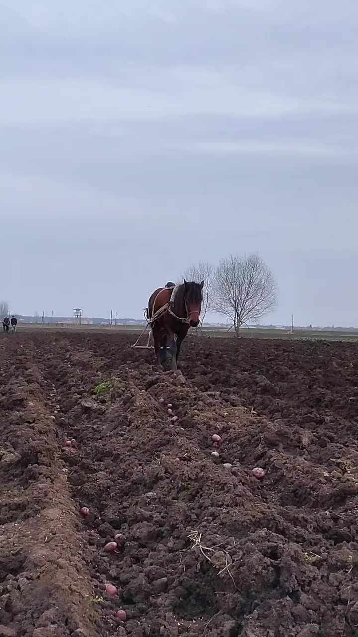 @İsmayıl_749