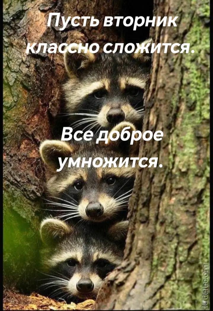 @Наталья Сосновская