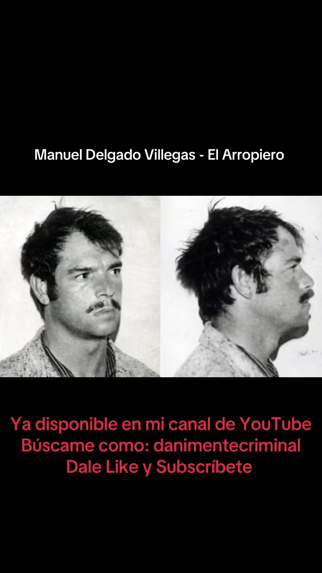 @Dani Mente Criminal