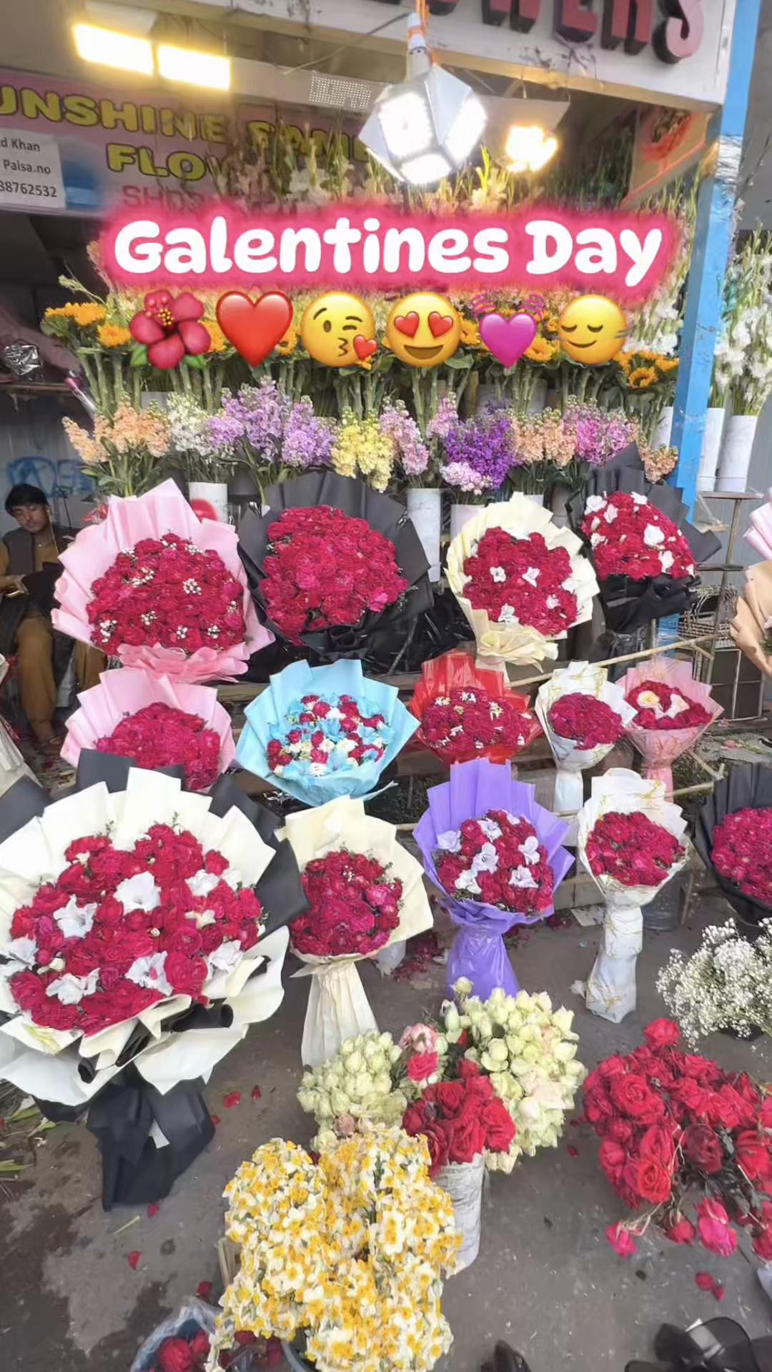 @Shehlizah Z. Malik || UGC