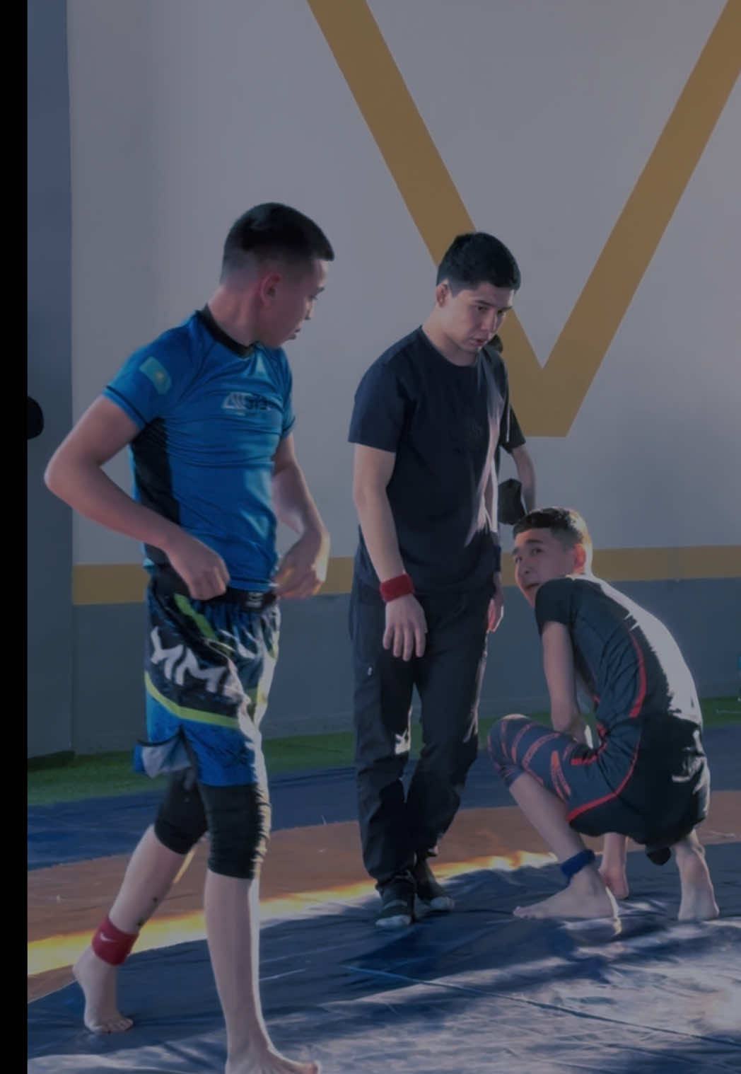 @ALISH MMA