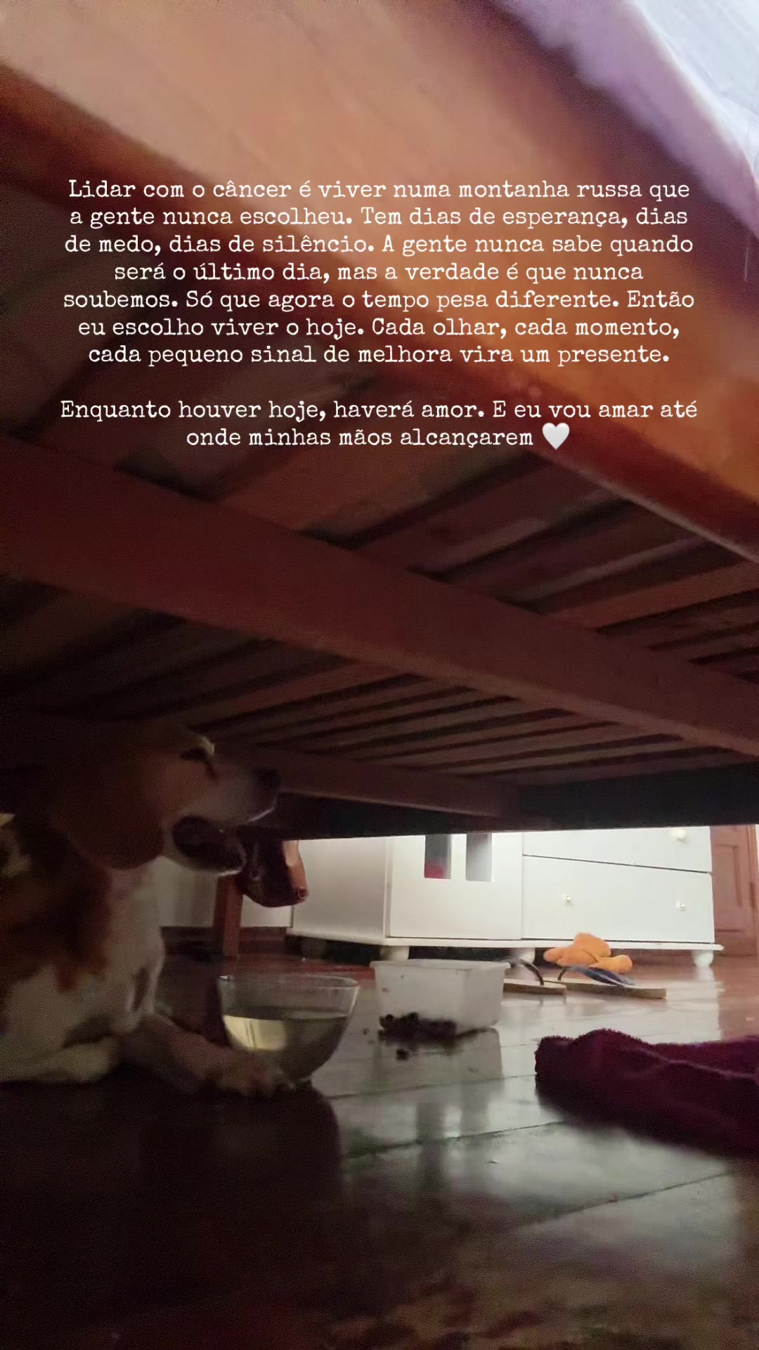 @dricaml_