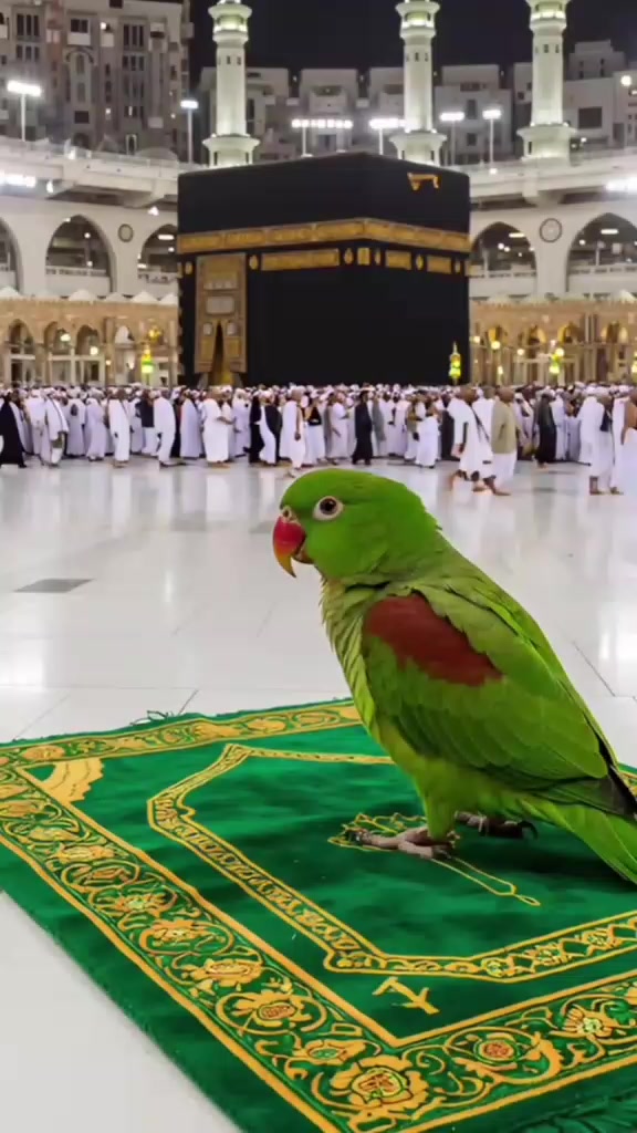 @🇵🇭PINAY IN KSA🇸🇦🇵🇰