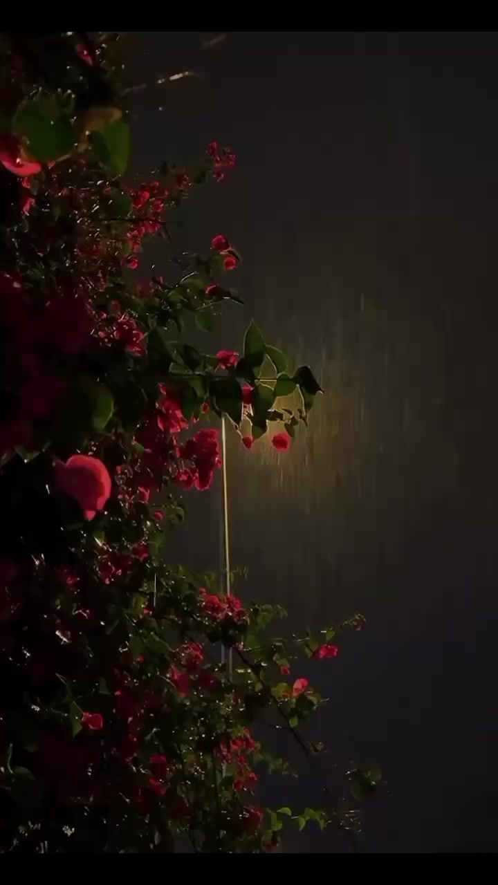 @𝐒ᡣ𐭩࣪⋆