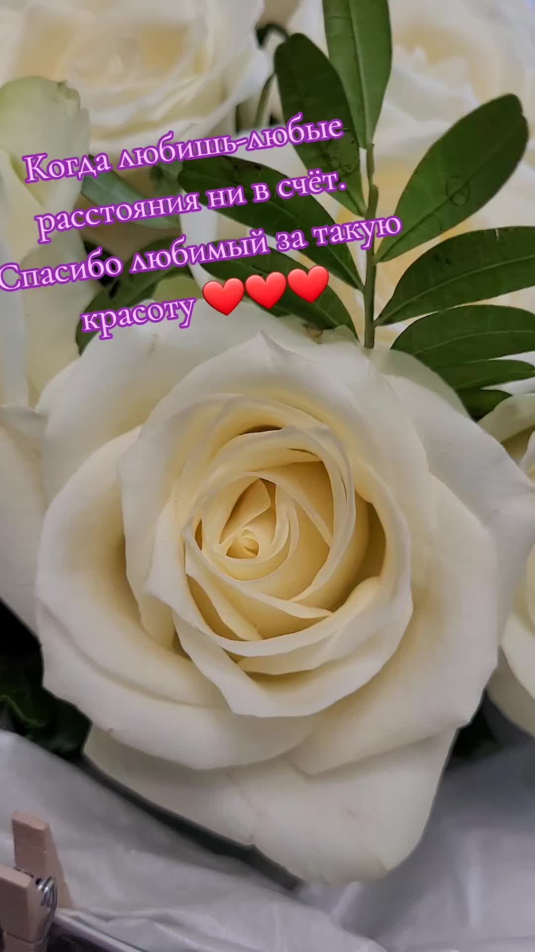 @Светик