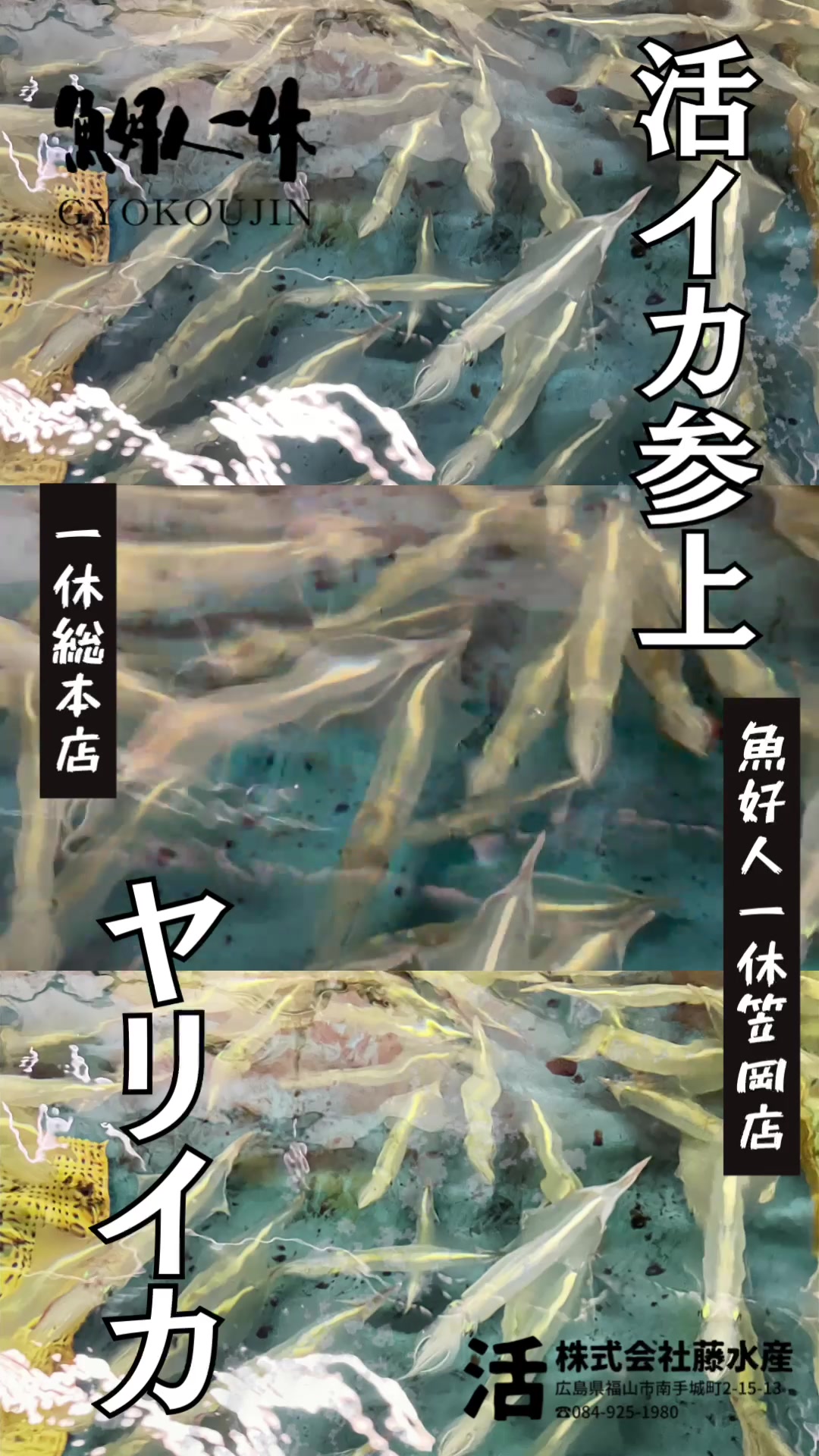 @株式会社魚好人