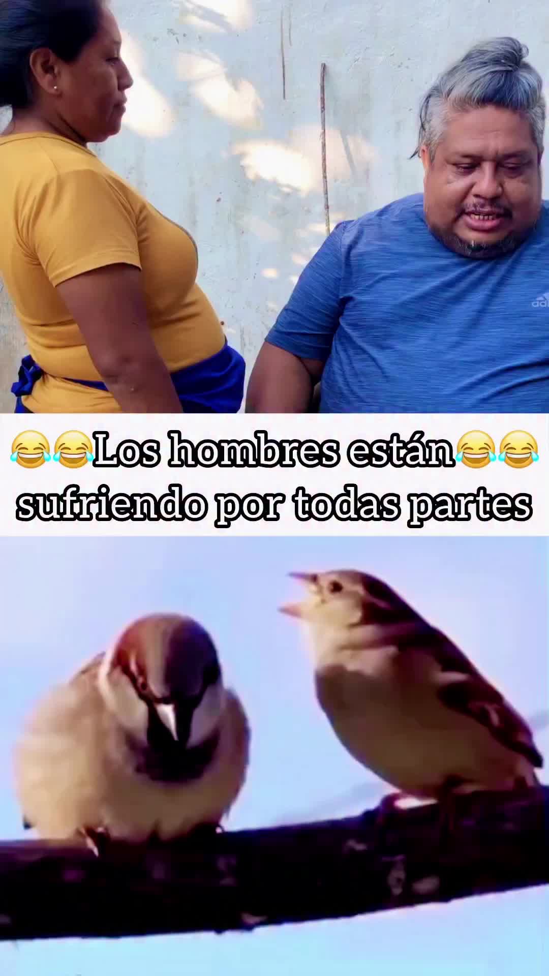 @@jalisco