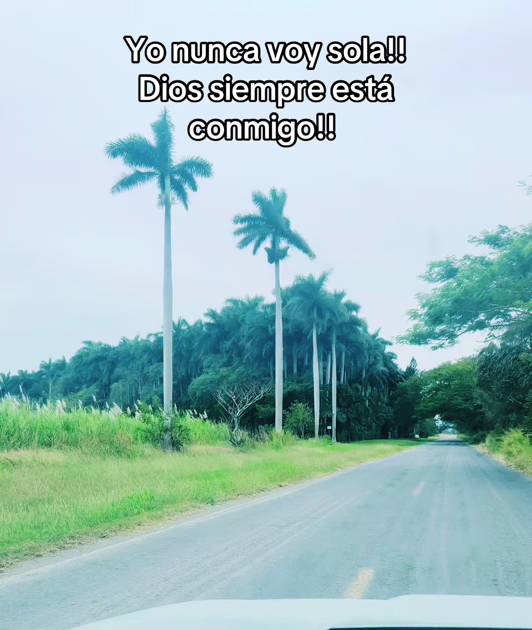 @Carmenh