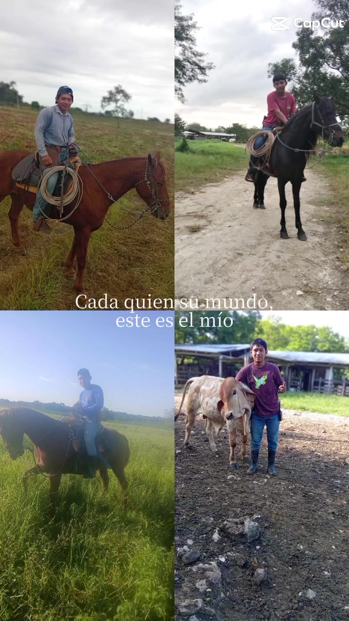 @Laguna Josmar