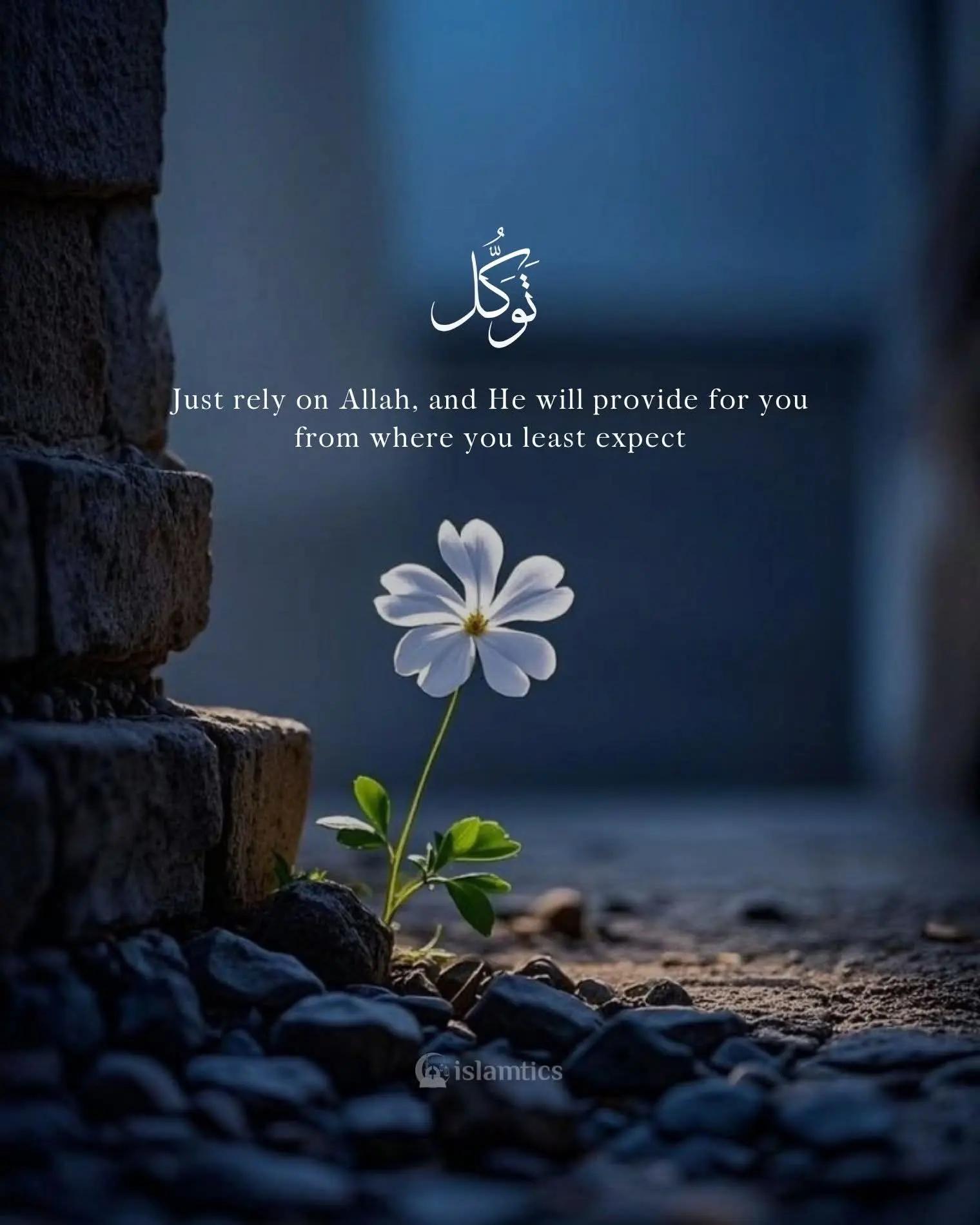 @kashmeri rumpa