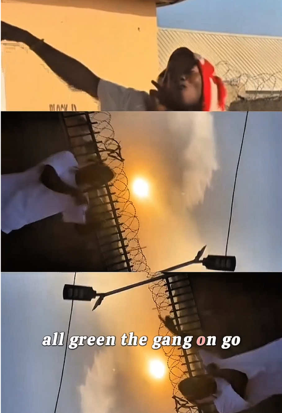 @Reetkat