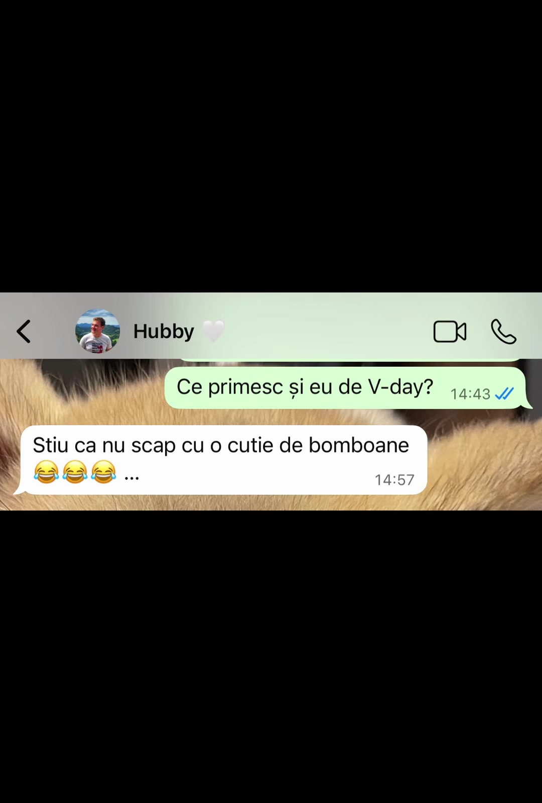 @Bianca Nef