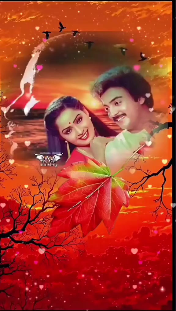 @S🌹B🌹N🌹A🌹I🌹S🌹M🌹I🌹L🌹