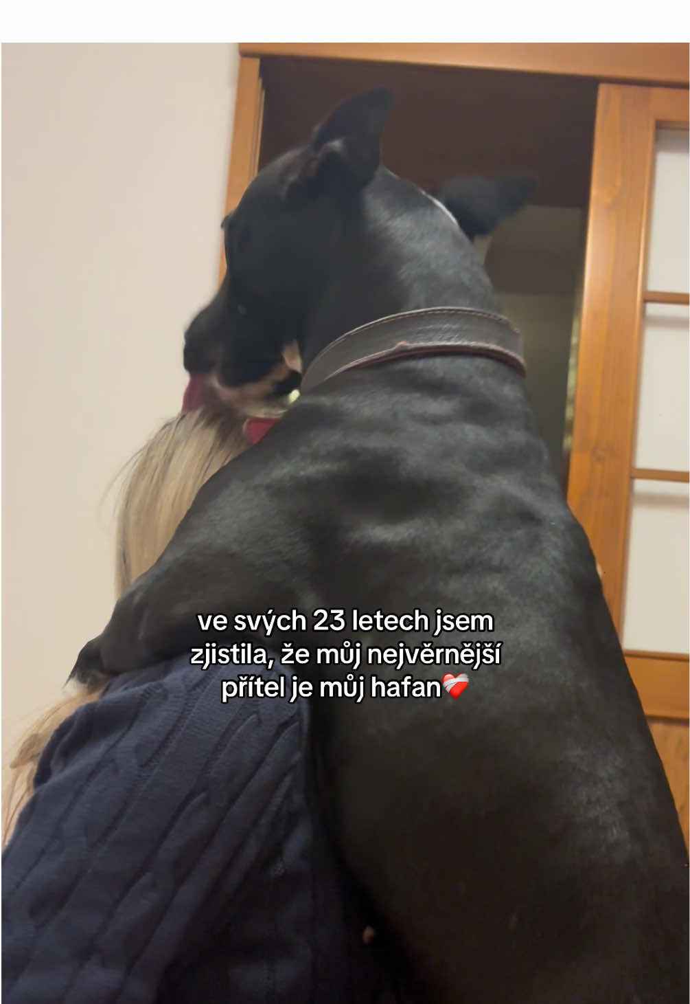 @nicol.streleckova
