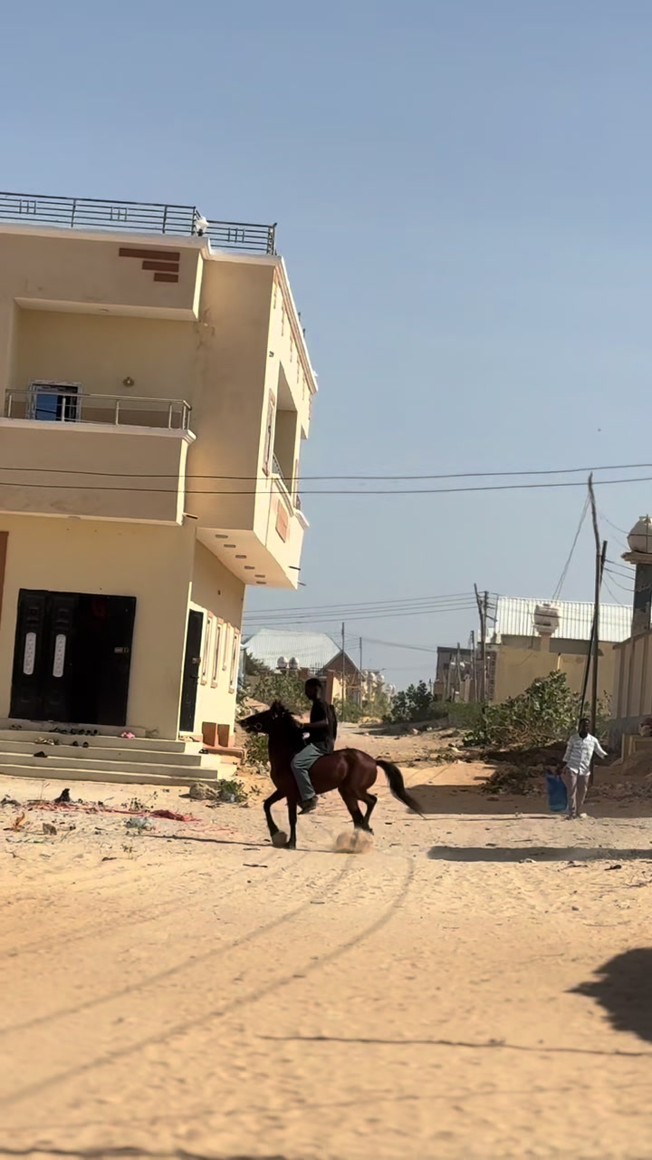@Duliyaha🐎diyaradadhulka🇸🇴🐎