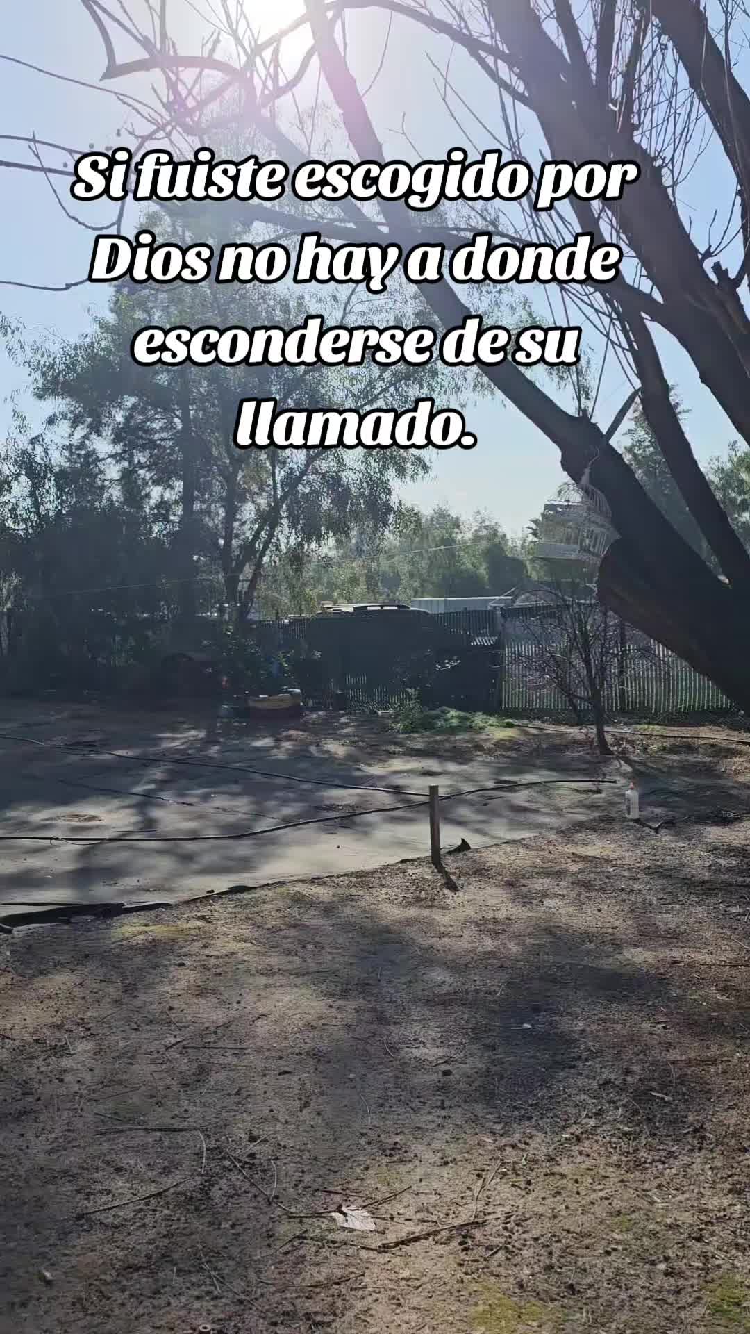 @reflexiones y pensamientos