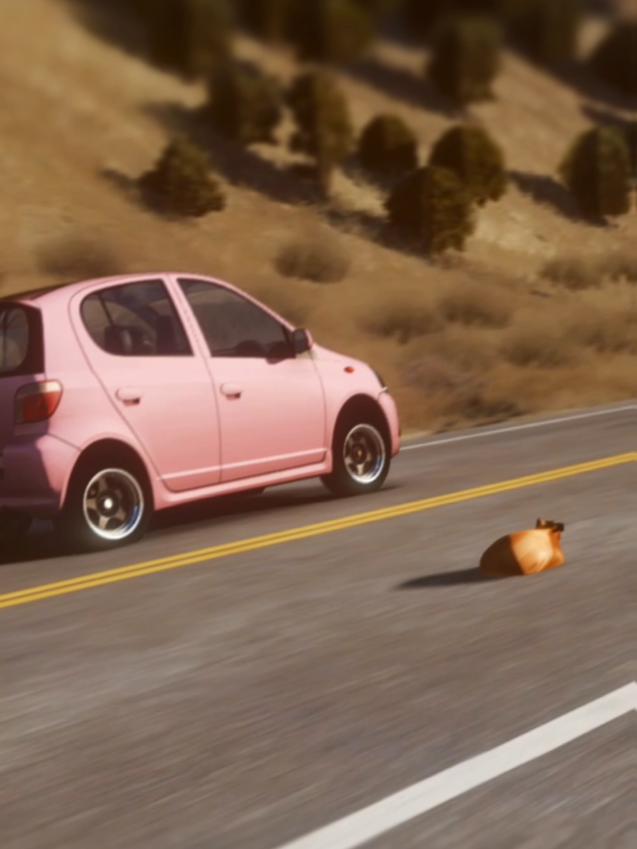 @Pablo the Race Cat