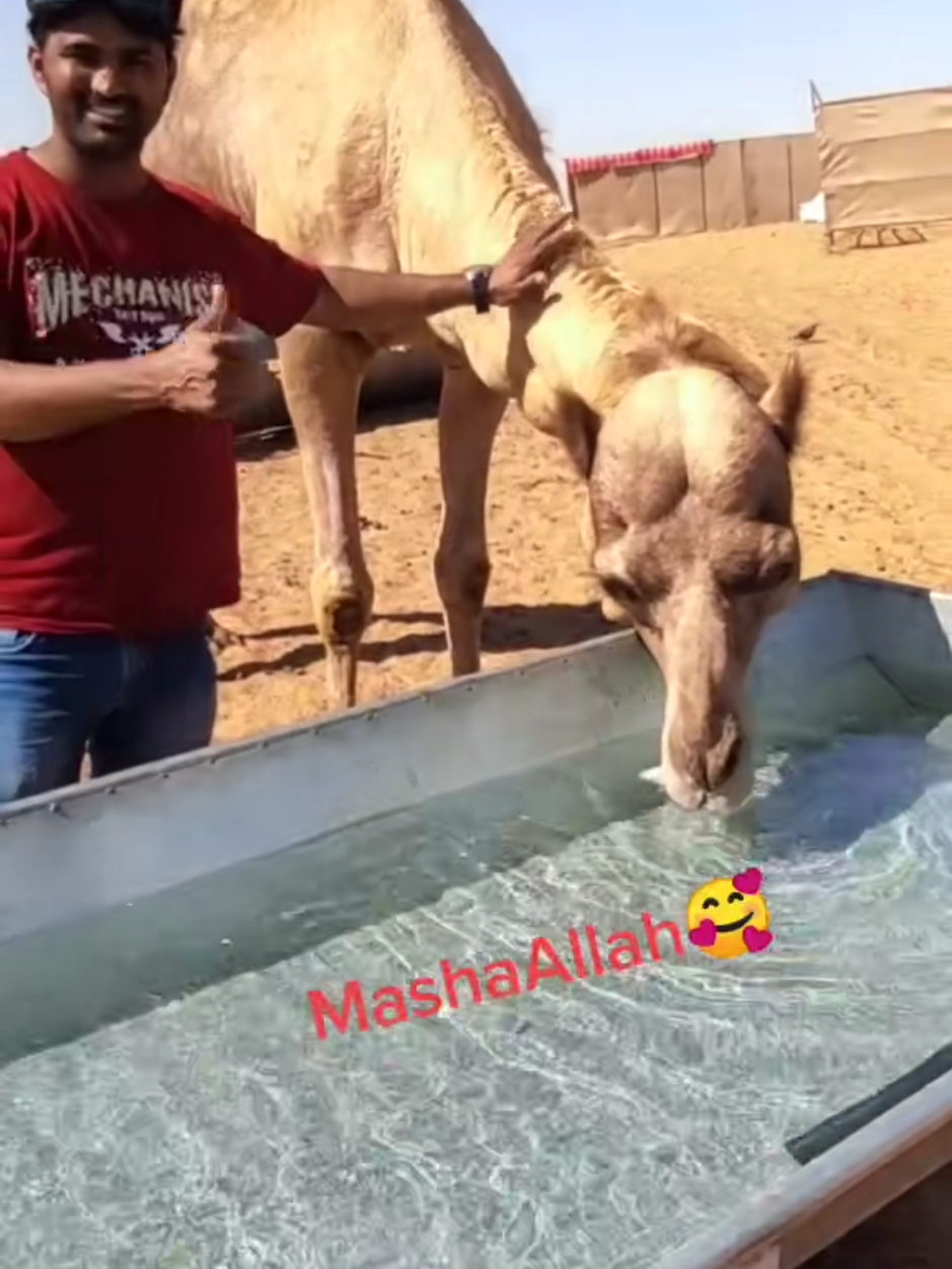 @moizdxb1