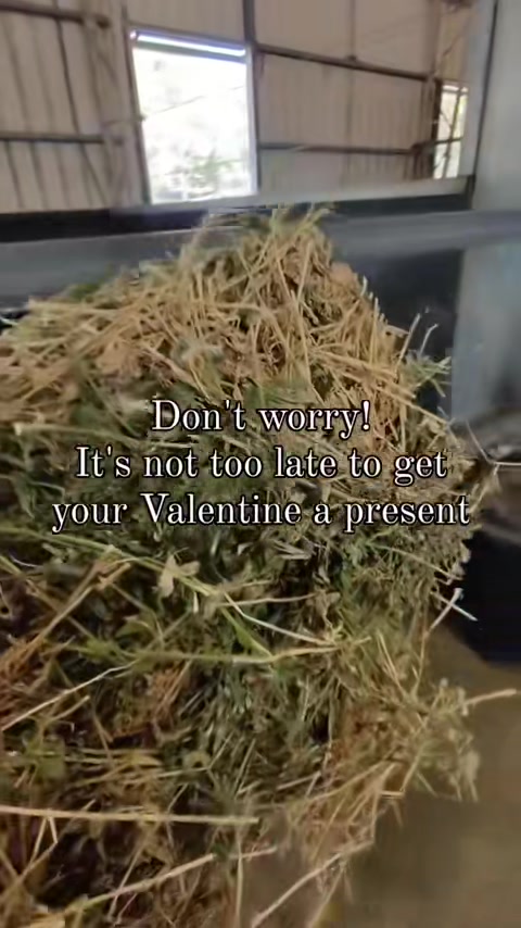 @Kobie Chandler