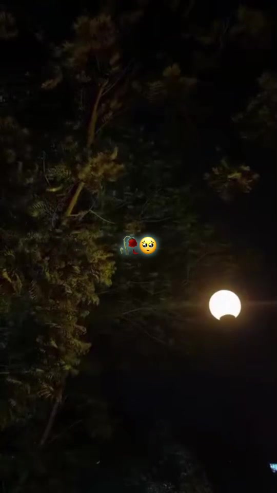 @❤️&zwj;🩹😻(🎥مصمم فيديوهات )