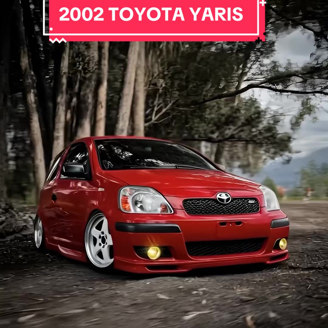 @MOST WANTED MOTORS