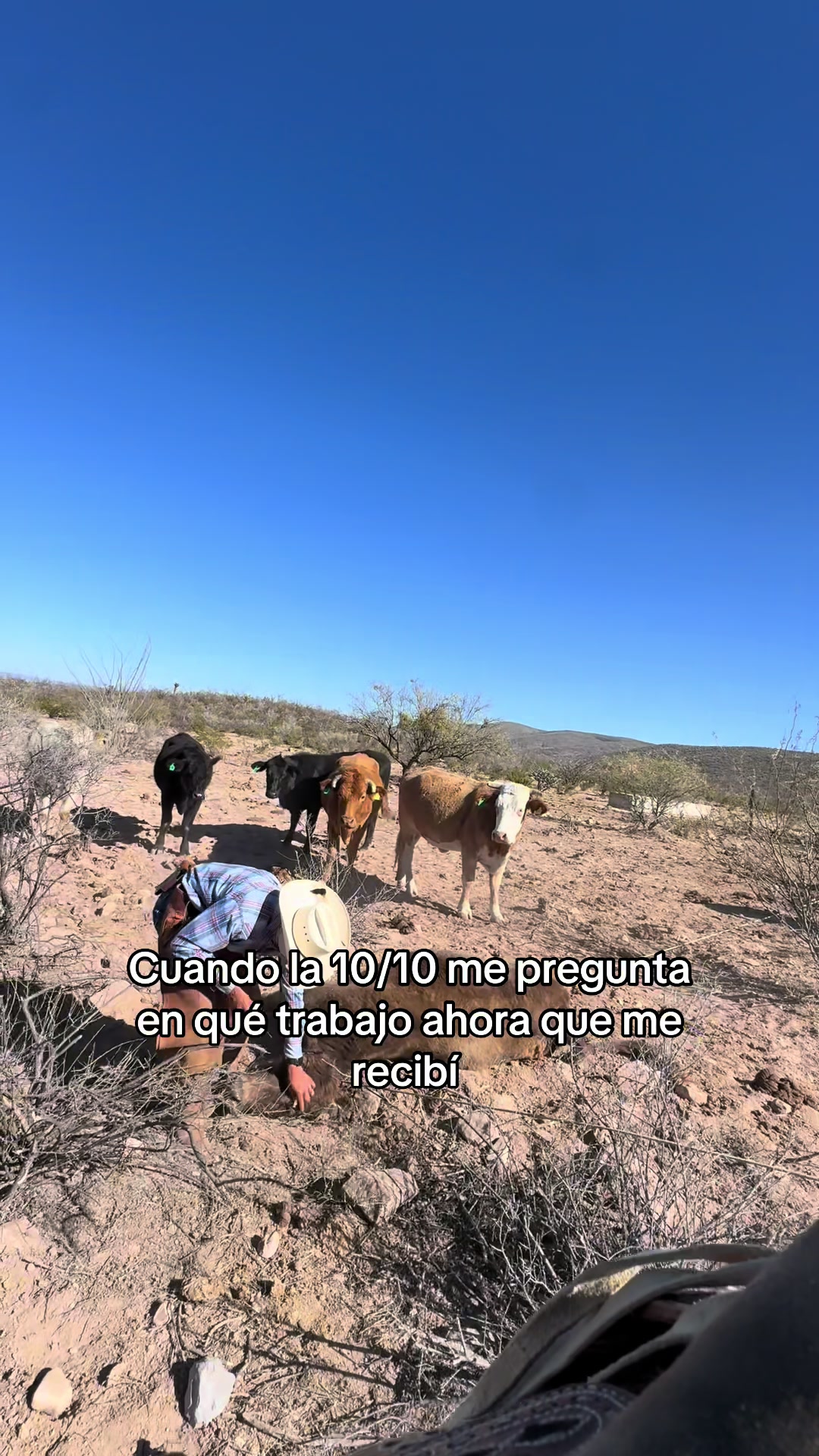 @Naum Amaya Ochoa