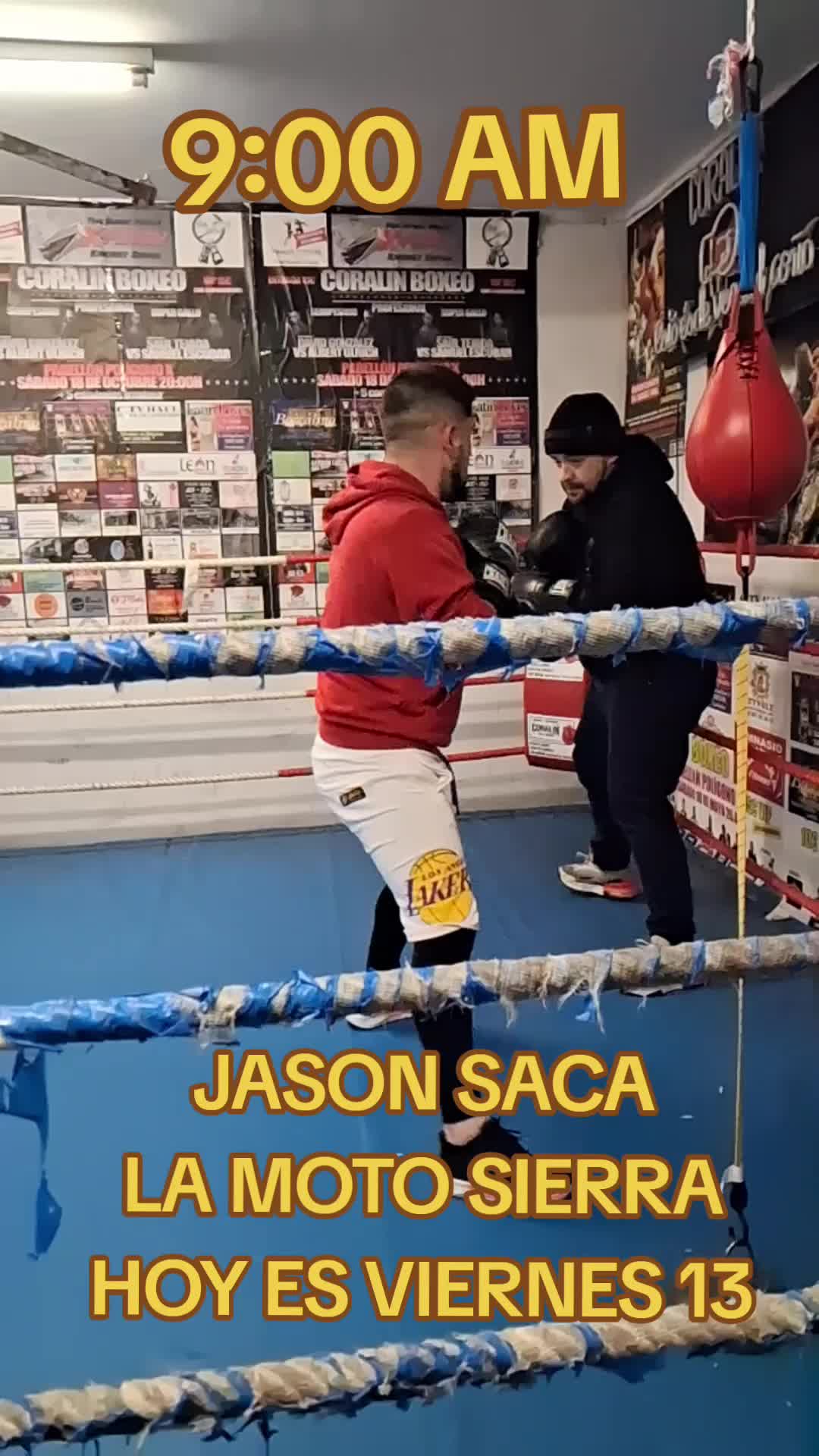 @Coralingboxing72