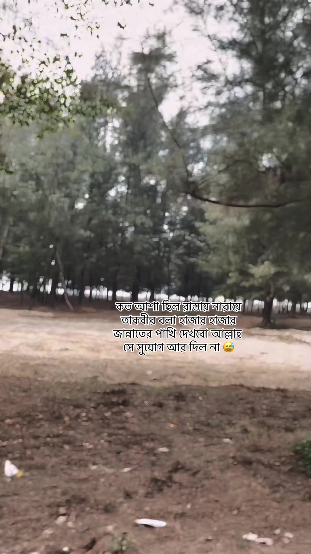 @Maisha Rahman Prapti