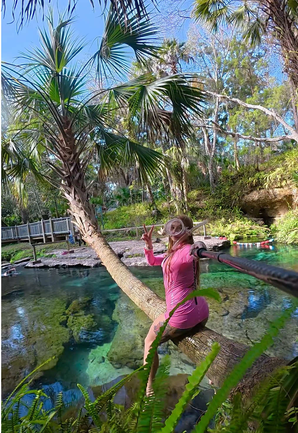 @Coralia Dives 🧜&zwj;♀️