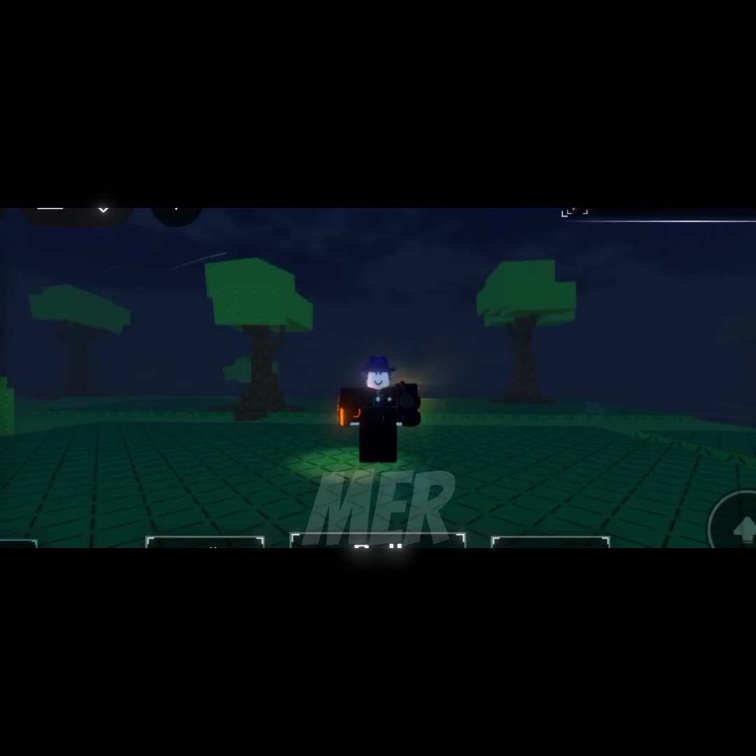 @(MER)مير