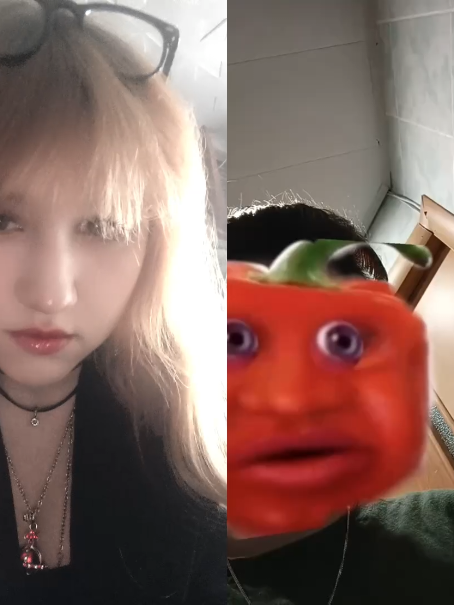 @｡‧˚ʚ𝐁𝐫𝐢𝐳𝐊𝐚ɞ˚‧｡