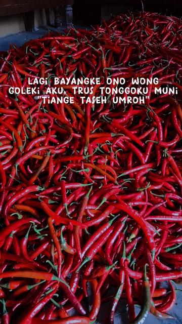 @syamsul_hadi7